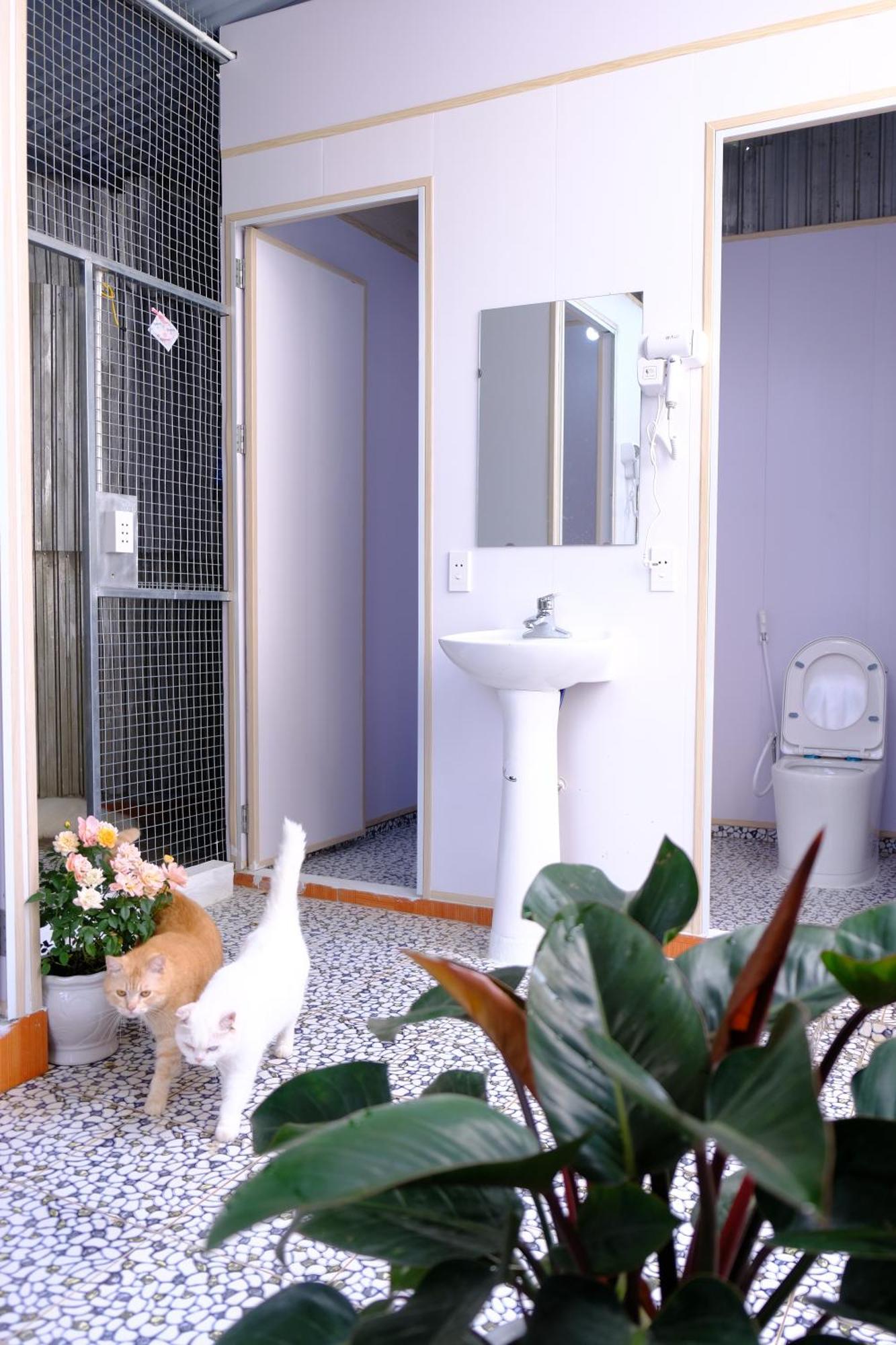 Lazy Cat Homestay - Motorbikes Rental & Tours Hà Giang Eksteriør billede
